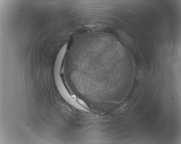 X0000080201010200612302332