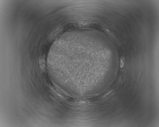 X0000080201011200612302332