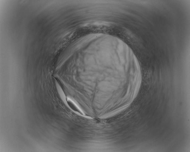 X0000080201013200612302332