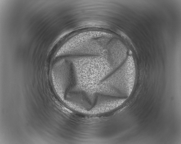 X0000080201019200612302332