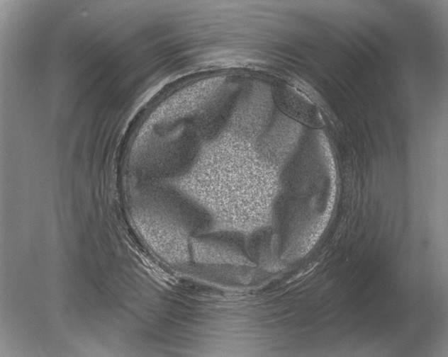 X0000080201023200612302332