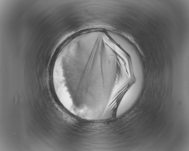 X0000080201024200612302332