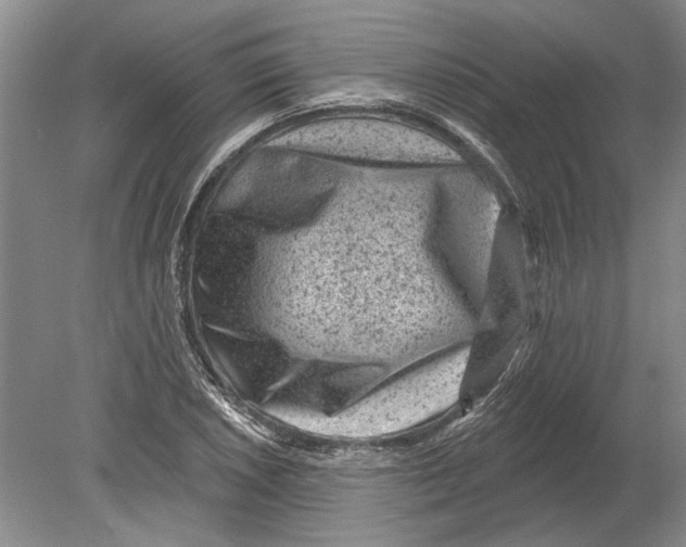 X0000080201026200612302332