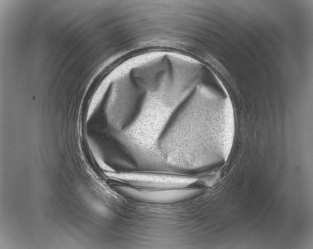 X0000080201028200612302332