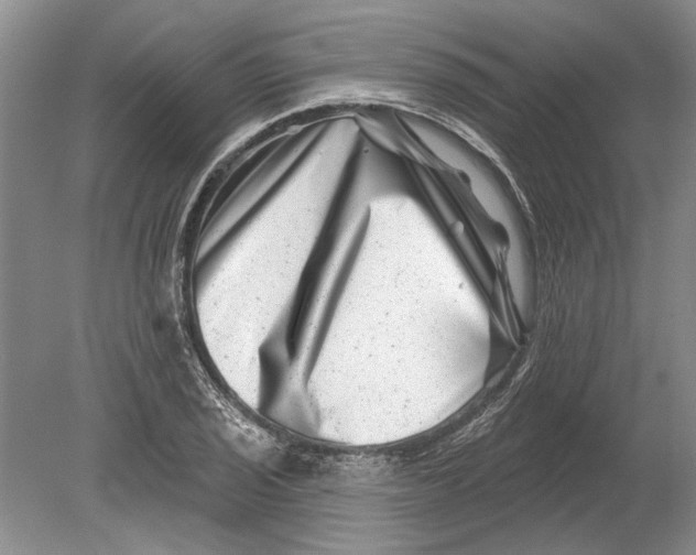 X0000080201029200612302332