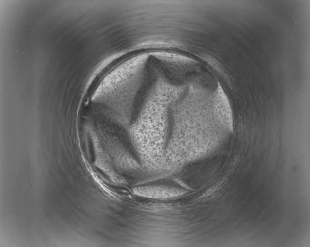 X0000080201030200612302332