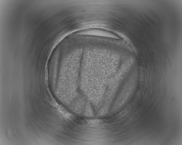 X0000080201031200612302332