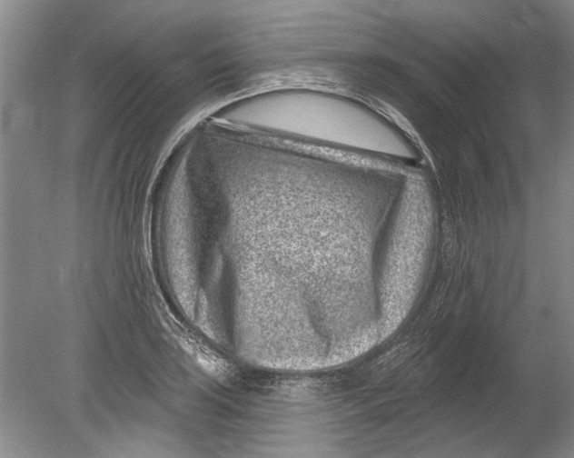 X0000080201035200612302332