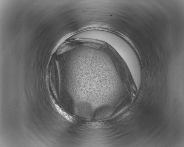 X0000080201042200612302332