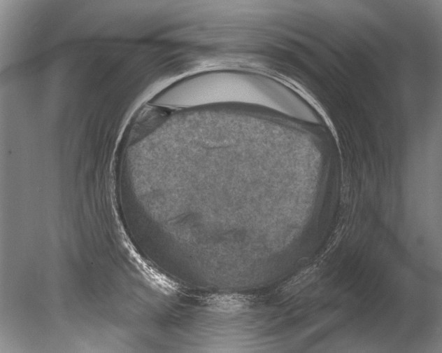 X0000080201045200612302332