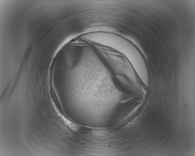 X0000080201046200612302332