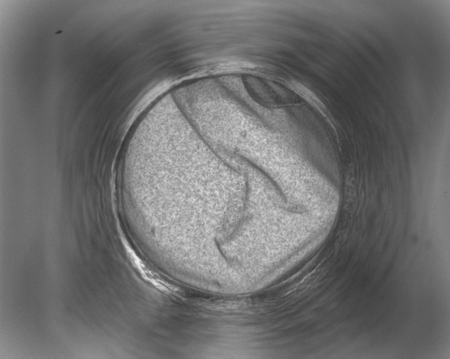 X0000080201047200612302332