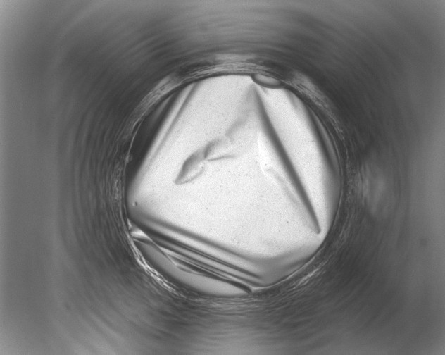 X0000080201049200612302333