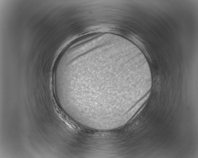 X0000080201051200612302333