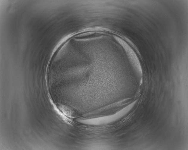 X0000080201054200612302333