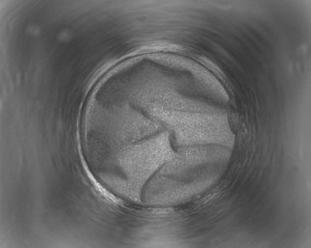 X0000080201055200612302333