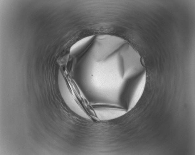 X0000080201058200612302332