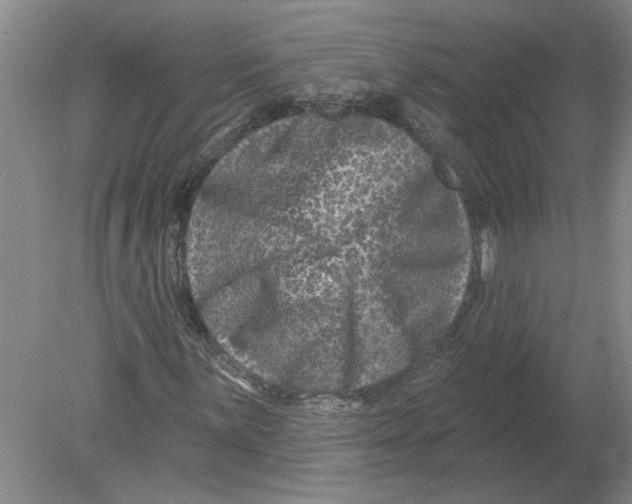 X0000080201059200612302332