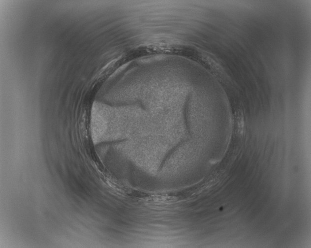 X0000080201060200612302332