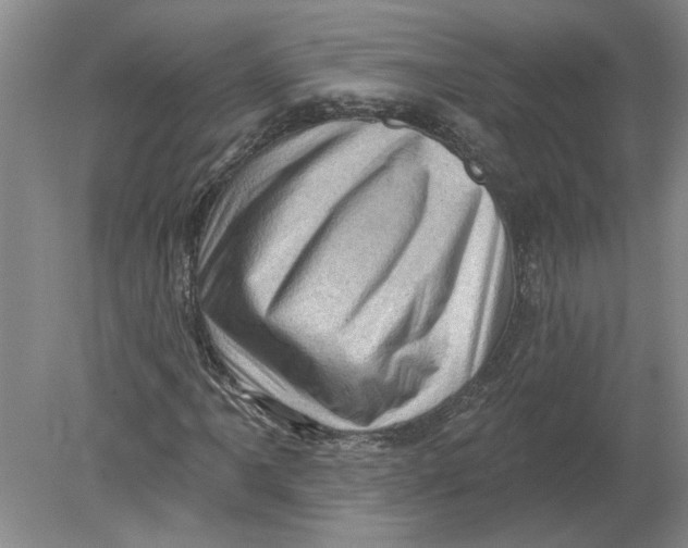 X0000080201061200612302332