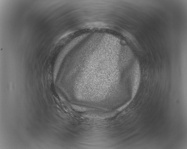 X0000080201063200612302332