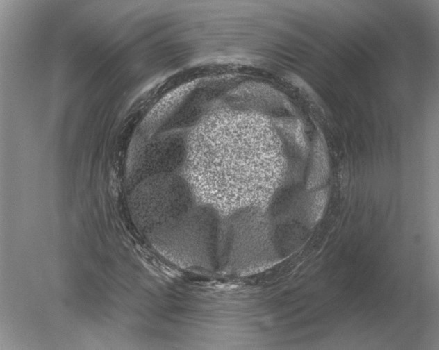 X0000080201064200612302332