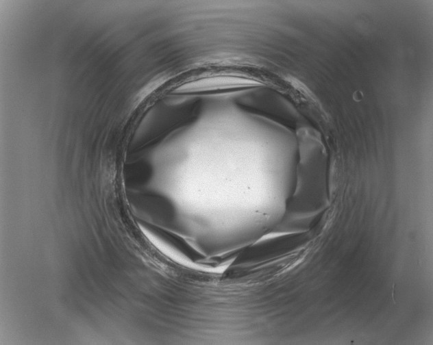 X0000080201065200612302332