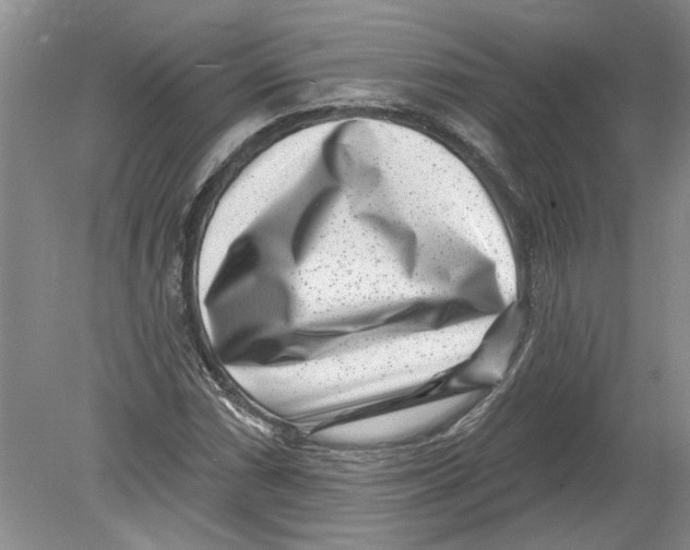 X0000080201066200612302332