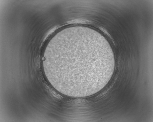 X0000080201067200612302332