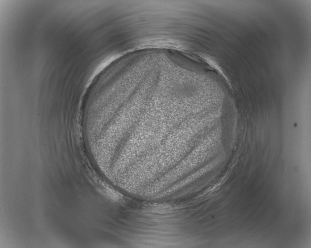 X0000080201071200612302332