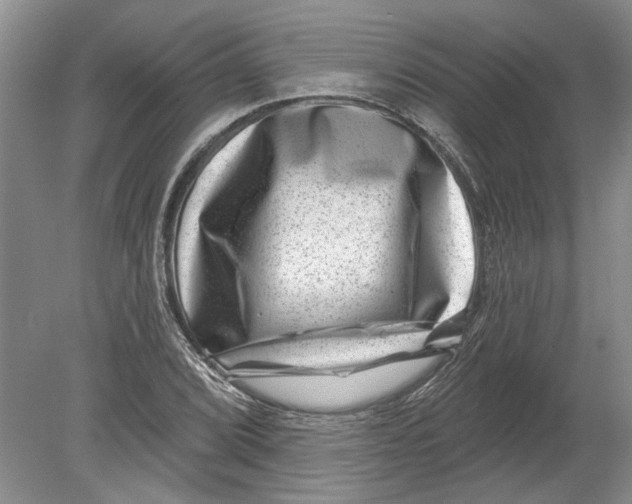 X0000080201072200612302332