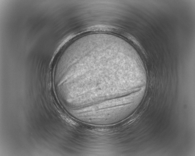 X0000080201075200612302332