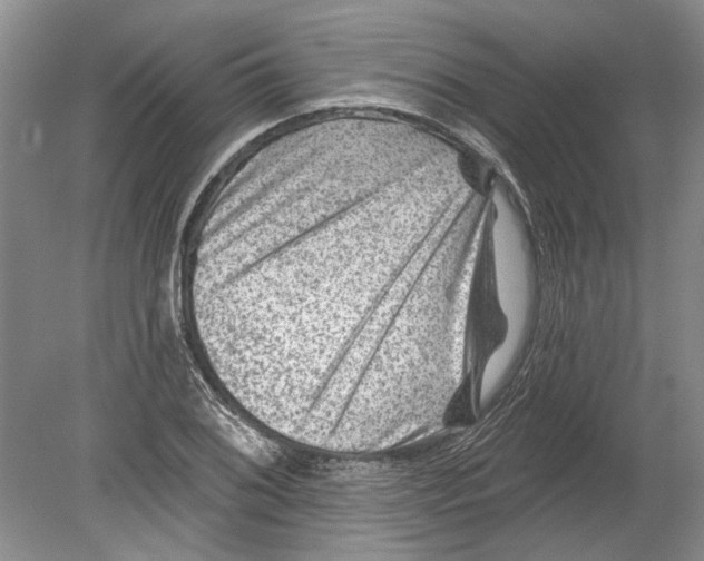 X0000080201076200612302332