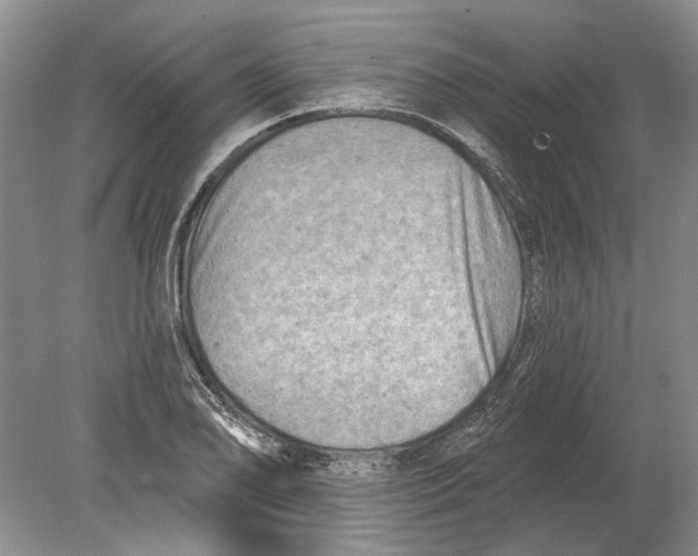 X0000080201078200612302331