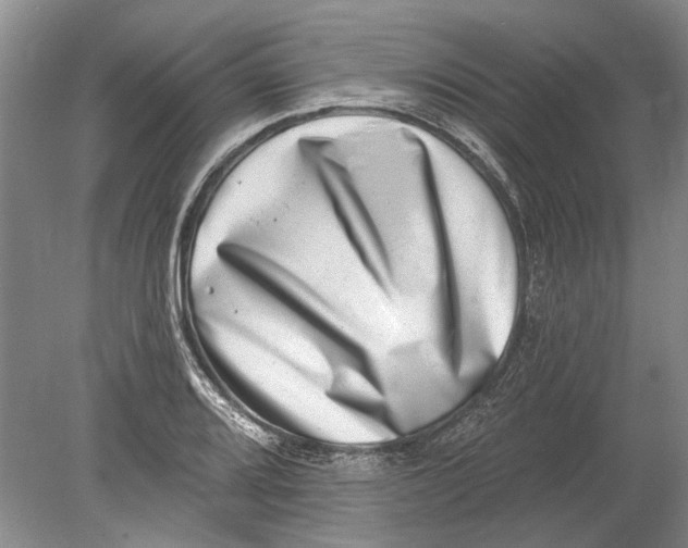 X0000080201080200612302331