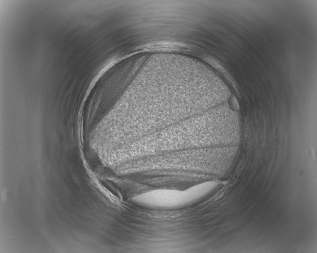 X0000080201083200612302331