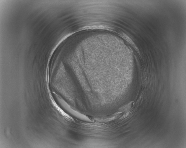 X0000080201084200612302331