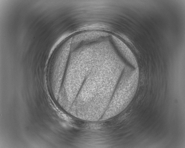 X0000080201086200612302331