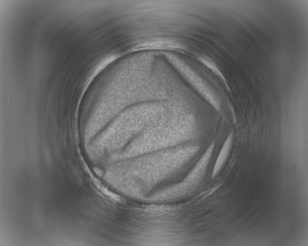 X0000080201087200612302331