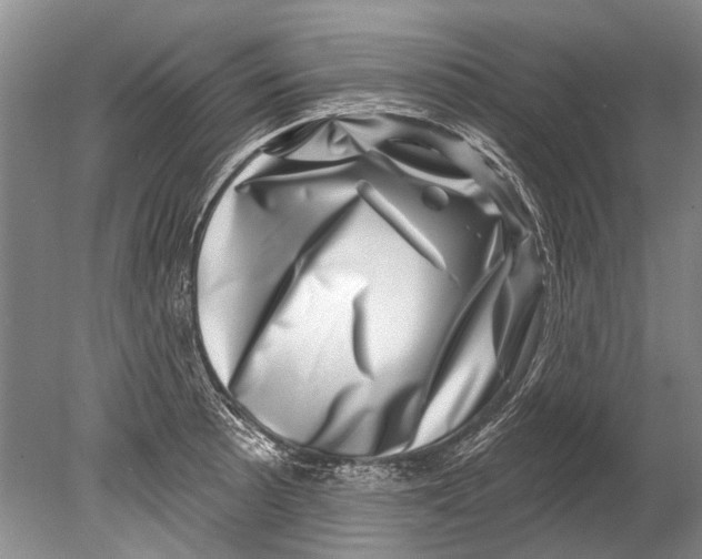 X0000080201089200612302331