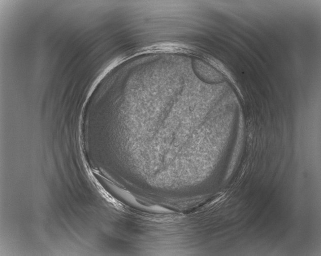 X0000080201091200612302331