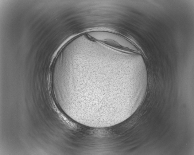 X0000080201092200612302331