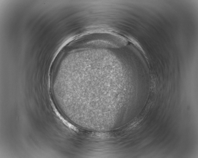 X0000080201095200612302331