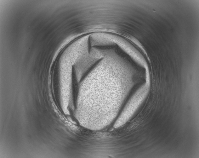 X0000080201096200612302331