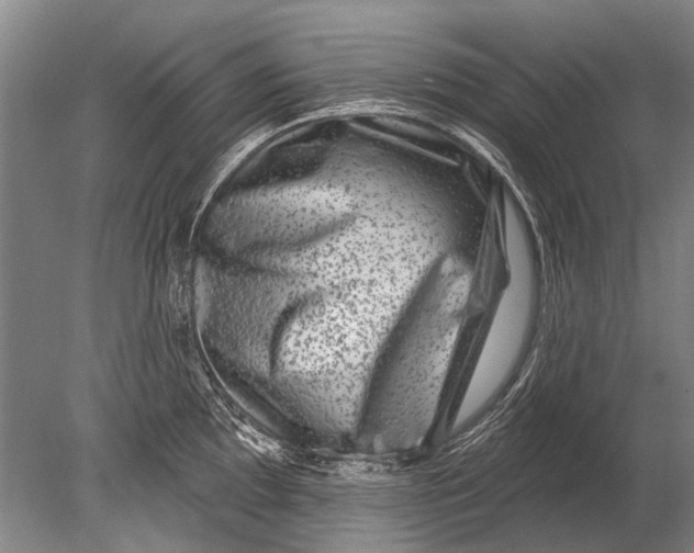 X0000080201097200612302331