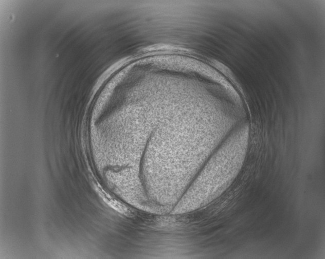 X0000080201098200612302331