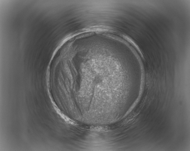 X0000080201099200612302331