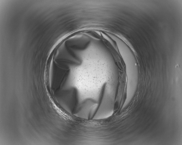 X0000080201101200612302331