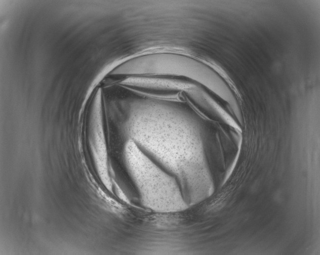 X0000080201102200612302331