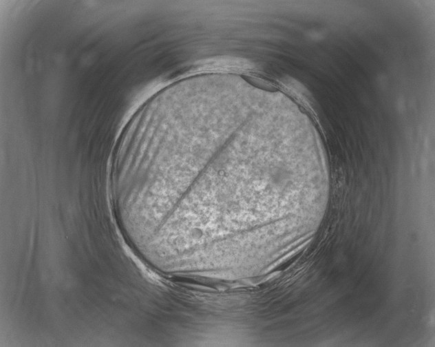 X0000080201103200612302331